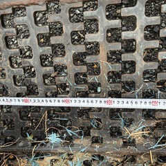 ユンボ　スケルトンバケット振いバケツ　アタッチメント の画像