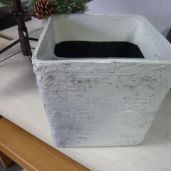 未使用/新品　クリスマスツリー150cm ポット付き おしゃれ ツリー リアル ヌードツリー スリム 松ぼっくり付 　アウトレットの画像