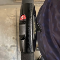 ピジョン　ランフィ　エフの画像