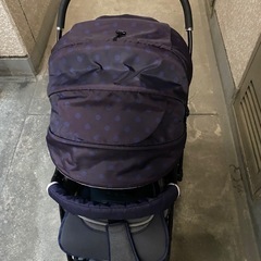 ピジョン　ランフィ　エフの画像