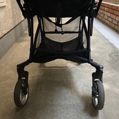 ピジョン　ランフィ　エフの画像