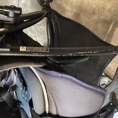 ピジョン　ランフィ　エフの画像