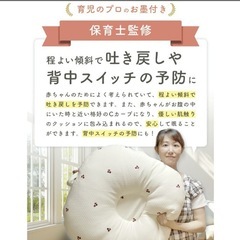 ロトトクッションの画像