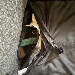 3人がけソファの画像