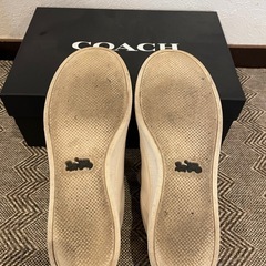 COACH アイボリー スニーカーの画像