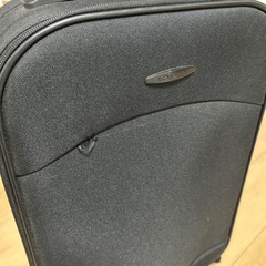 キャリーバッグの画像