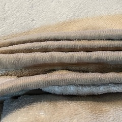 毛布　茶色・ブラウン系をお譲りします(12/13受け渡し優先)の画像