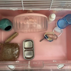 ハムスター　ケージ　まとめの画像