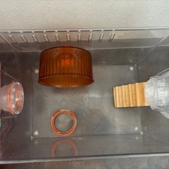 ハムスター　ケージ　まとめの画像