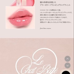 【未使用新品】Dinto ミニティントリップ 3本セットの画像