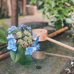 自然体でいられる友達を - その他