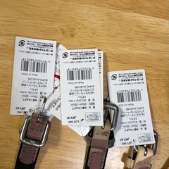 犬用首輪の画像