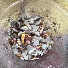 説明必読 ネイパすくい の画像