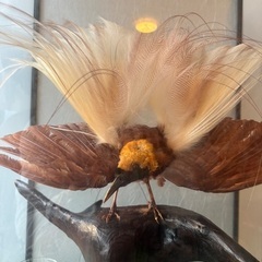 鳥　オブジェの画像