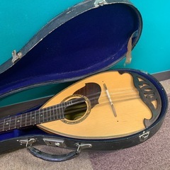 マンドリンの画像