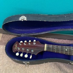 マンドリンの画像