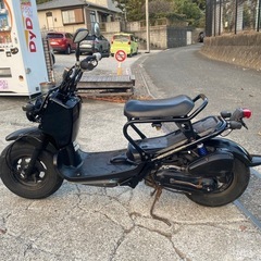 ズーマー50【546】の画像