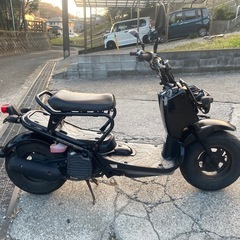 ズーマー50【546】の画像