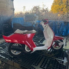 AF09 クレタクの画像