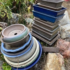 ガーデニング　植木鉢　安い　中古品の画像