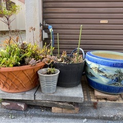 ガーデニング　植木鉢　安い　中古品の画像