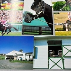 【ナリタブライアン　ポストカードセット】の画像