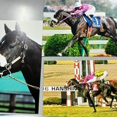 【ナリタブライアン　ポストカードセット】の画像