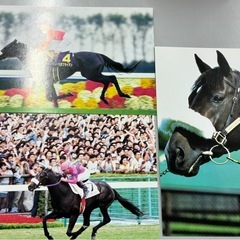 【ナリタブライアン　ポストカードセット】の画像