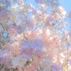 【募集】自分自身を見つめてみませんか？