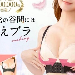 プリンセスアーチ　Mサイズの画像