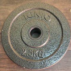 ※ ダンベル　IGNIO イグニオ　シャフト　バーベルプレート　計8KGの画像