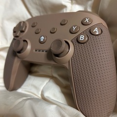 スリーコインズのコントローラー茶色の画像