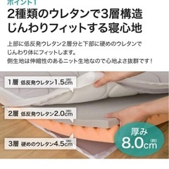 ニトリメモリフォーム布団の画像