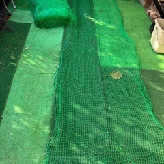 防鳥色ネット　合計18メートルの画像