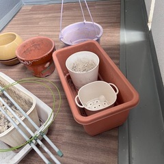 【差し上げます】　植木鉢　などの画像