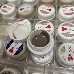 ベラフォーマ　ベトロ　カラージェル　56個　の画像