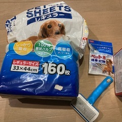 犬　ペット　わんちゃん用まとめての画像