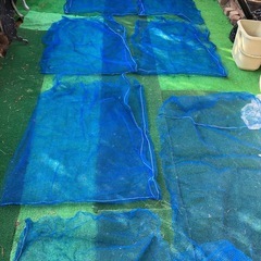 青🟦色ネットの画像