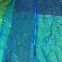 青🟦色ネットの画像