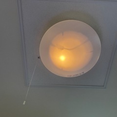 シーリングライトの画像