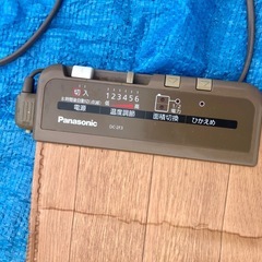 パナソニック Panasonic DC-2F3 ホットカーペット 2畳 木目  かんたん床暖  通電確認済 防カビ 防水 ダニバリアの画像