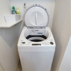 【美品】SHARP洗濯8kg＊乾燥4.5kgの画像