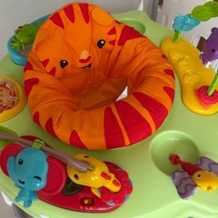 1／5以降　レインフォレスト ジャンパルーの画像