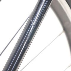 TREK 「トレック」 DOMANE AL2 2019年モデル ロードバイクの画像