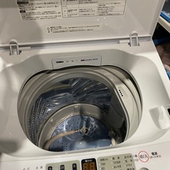 5,5kg 2022年の画像