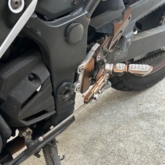 ニンジャ250スペシャルエディション　車体の画像