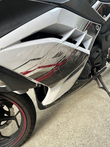 ニンジャ250スペシャルエディション　車体