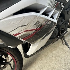 ニンジャ250スペシャルエディション　車体の画像