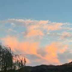 夜のまったりタイムにおしゃべりできる人😊