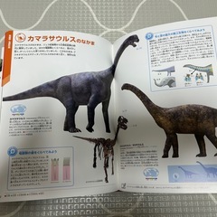 恐竜　図鑑の画像